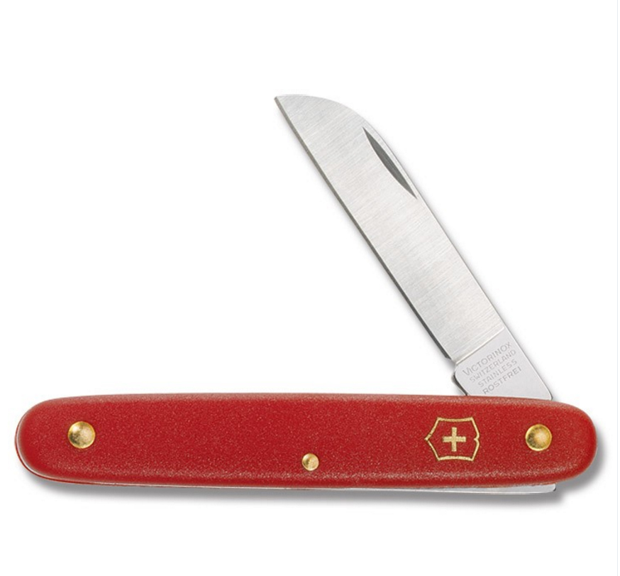 Victorinox Red Straight Blade Knife - 10 per box - Knives